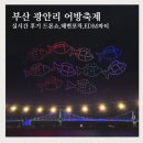 부산광역시 수영구 광안해변로 209   (광안동) 대우아이빌 앞 | 부산 광안리 어방축제 실시간 후기 해변포차 시간 돗자리 드론쇼 EDM파티까지