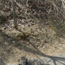 더힐컨트리클럽 이미지