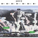 [휘닉스파크스키장] 렌탈샵 꾹이네 l 스키초보의 초중급 슬로프 후기⛷ ; 렌탈, 리프트권 할인, 픽업