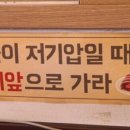 뚱돼지주먹구이 이미지