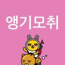 바퀴벌레는 왜 키우는 거지