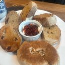 클라라PC카페 이미지