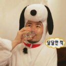 영스빌리지