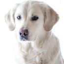 씨지테크 이미지