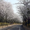 옹암해변주차장 이미지