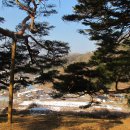 나무여행 이미지