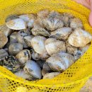 지경국민여가캠핑장 이미지