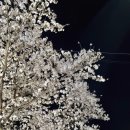 공차김천신음점