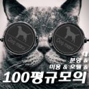 강아지분양타임도그애견샵