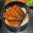 나고야 혼자여행, 가성비 히츠마부시 맛집 우나야스 1만원대 장어덮밥 후기🍛