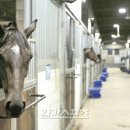 마분공원 이미지