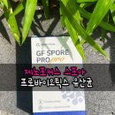 우리가족 장건강 지킴이 유산균추천. 제노포커스 스포아 프로바이오틱스