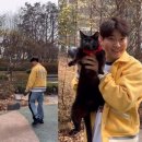 행복한일상 이미지