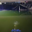 능곡 낚시터 이미지