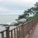 지청직업교육학원