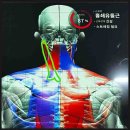 청암휘트니스 | 양산 휘트니스 월드원짐 체험 후기