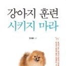 용곡1길 네이버블로그