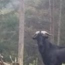 진척농장 이미지