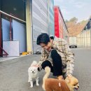 댕댕이지 이미지