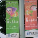 369포장마차 Daum카페