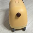 둥글리다 이미지