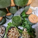 보들농장 이미지