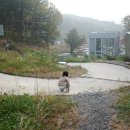 아틴 마루 이미지