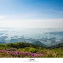 금오산전망대 네이버블로그