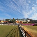 떼제베CC(대중제) 이미지