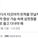 타코비 이미지