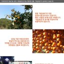 대길농산 네이버블로그