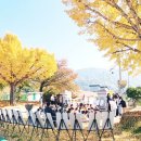 진상초등학교 이미지