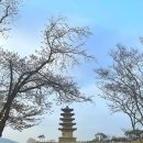 왕궁방앗간 이미지