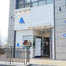 블루샥 네이버블로그