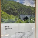 한라산유통 | 제주 간식 선물 추천, 귀여운 쿠키 한라산과자점 후기