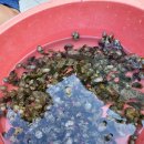 산마루 펜션 이미지