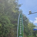 고란길(길안면) 네이버블로그