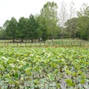 형연농장 이미지