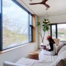 하유일기 이미지