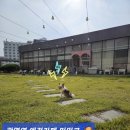 카페미밍코 | 광명역 롯데몰 애견카페 미밍코 천연잔디 솔직 방문후기 내돈내산