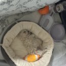 늘품동물병원 이미지