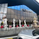 플로라 거창 이미지