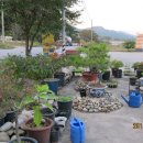 장미주유소 이미지