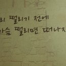 너울랑 이미지