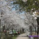 다미민박 이미지