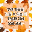 갬성뷰티