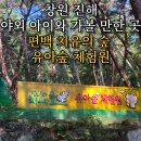 창원진해 봄 가을 아이와 가볼만한 곳_창원편백 치유의 숲 유아숲체험원