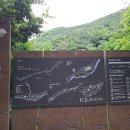 울산수목원 Daum카페