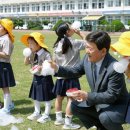 한림초등학교 병설유치원 이미지