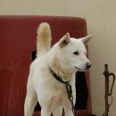 참진축산 이미지